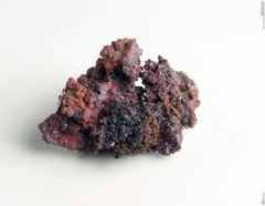 Foto von Cuprit (NHMW-MIN-Ah607)